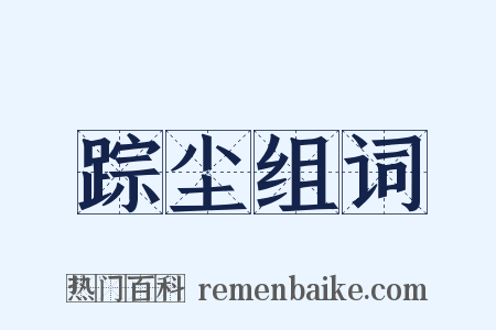 踪尘组词是什么意思的图片